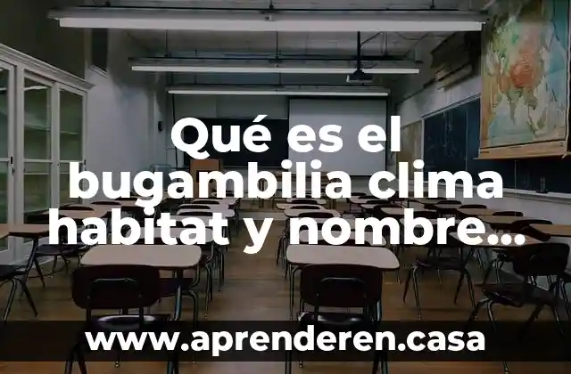 Qué es el bugambilia clima habitat y nombre común