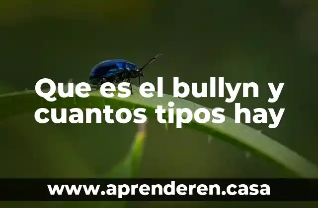 Que es el bullyn y cuantos tipos hay