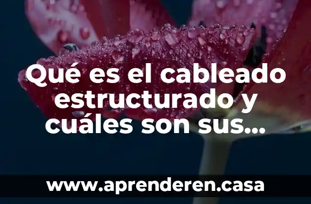 Qué es el cableado estructurado y cuáles son sus subsistemas
