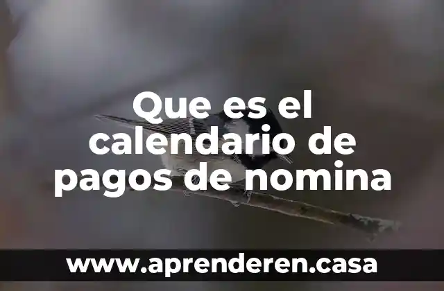 Que es el calendario de pagos de nomina