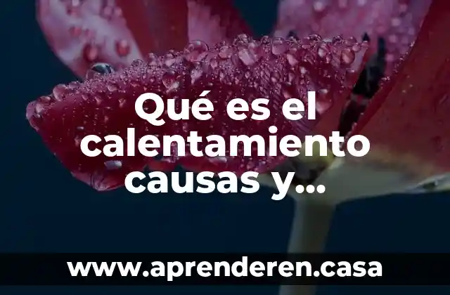 Qué es el calentamiento causas y aportaciones educación física