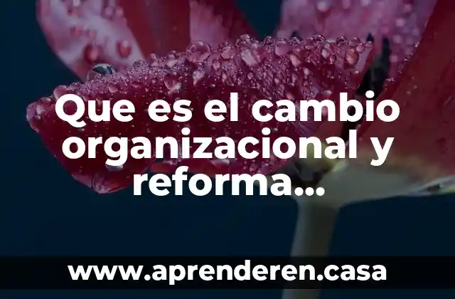 Que es el cambio organizacional y reforma administrativa