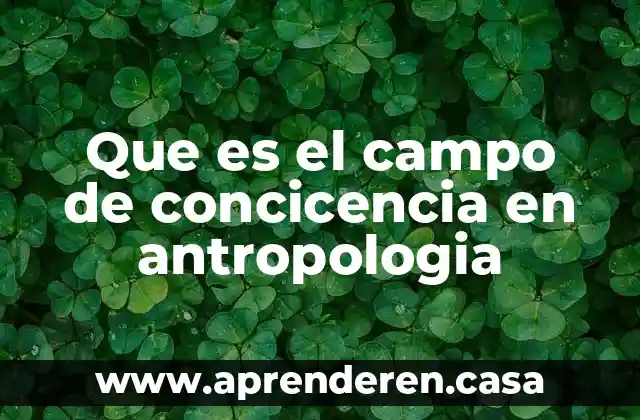 Que es el campo de concicencia en antropologia