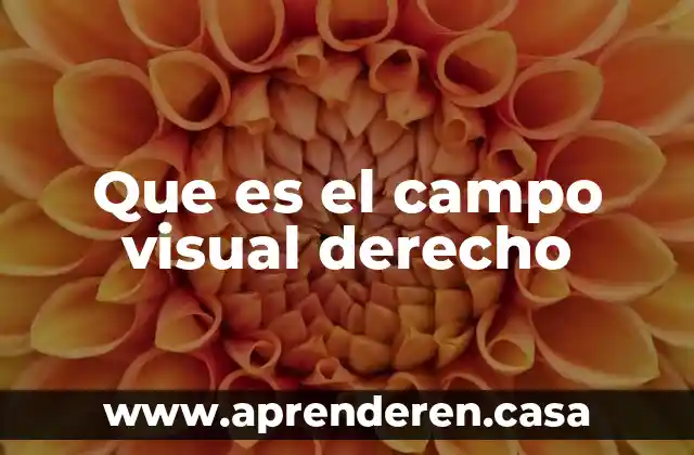 Que es el campo visual derecho