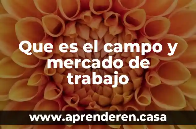 Que es investigacionde campo 8 Que es el campo y mercado de trabajo