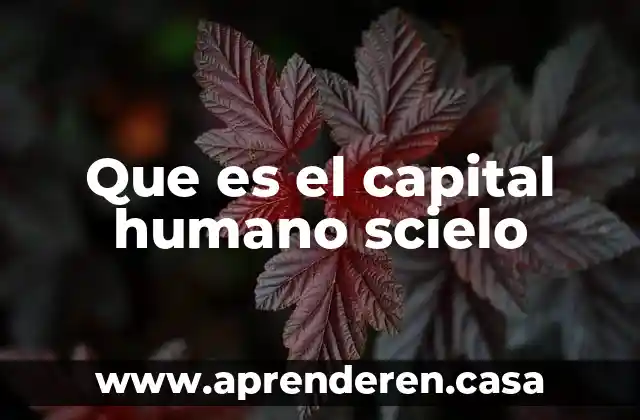 Que es el capital humano scielo