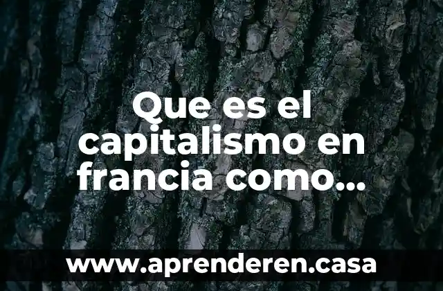 Que es miscibilidad en un sistema de refrigeracion 3 Que es el capitalismo en francia como sistema de producción