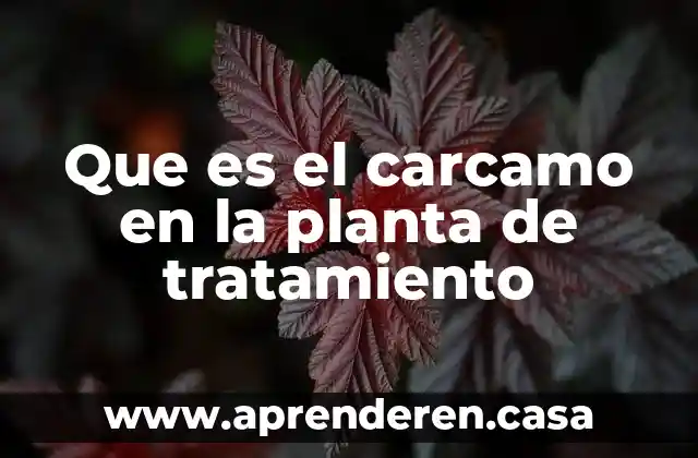 Que es el carcamo en la planta de tratamiento