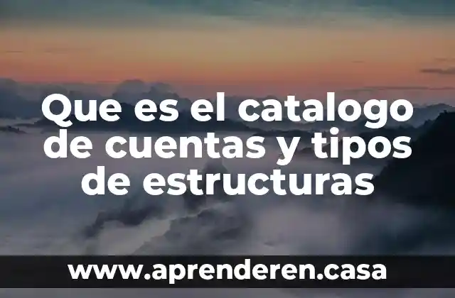 Que es el catalogo de cuentas y tipos de estructuras