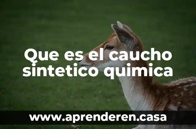 Que es el caucho sintetico quimica