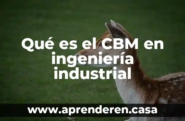 Qué es el CBM en ingeniería industrial