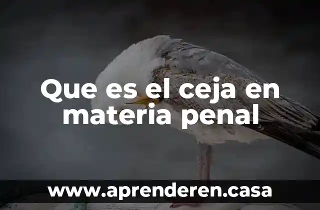 Que es el reo en materia civil 4 Que es el ceja en materia penal