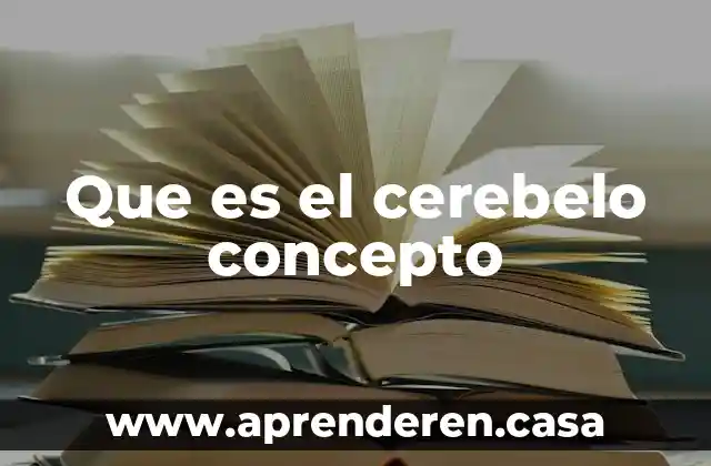 Que es el cerebelo concepto