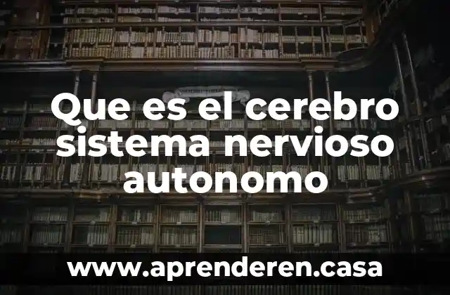 Que es el cerebro sistema nervioso autonomo
