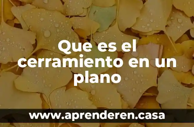 Que es un plano parasagital 6 Que es el cerramiento en un plano
