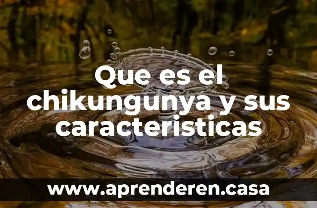 Que es el chikungunya y sus caracteristicas