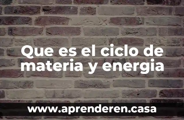Que es el ciclo de materia y energia