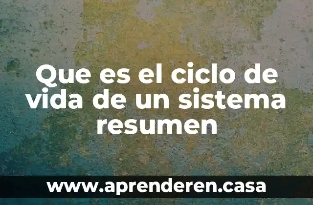 Que es el ciclo de vida de un sistema resumen