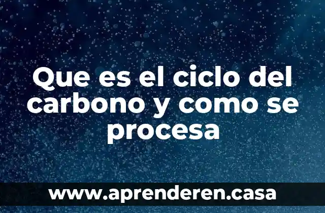 Que es el ciclo del carbono y como se procesa
