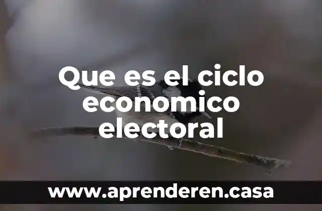 Que es el ciclo economico electoral
