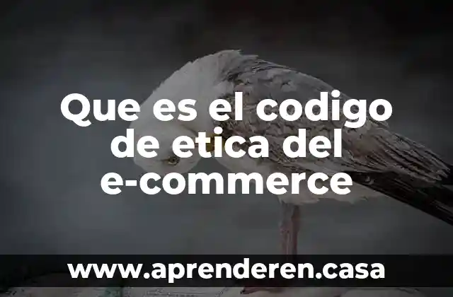 Que es el codigo de etica del e-commerce