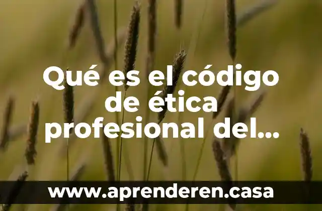 Qué es el código de ética profesional del auditor administrativo
