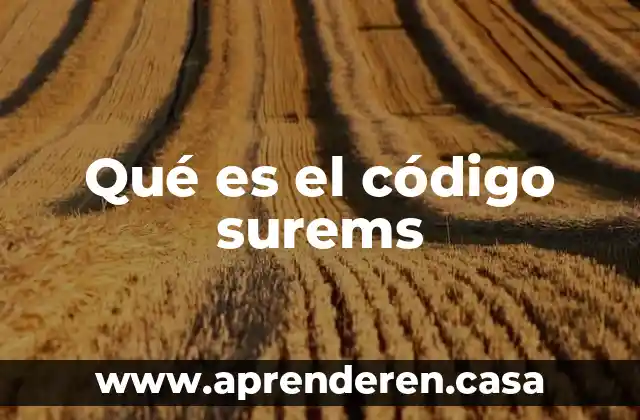 Qué es el código surems
