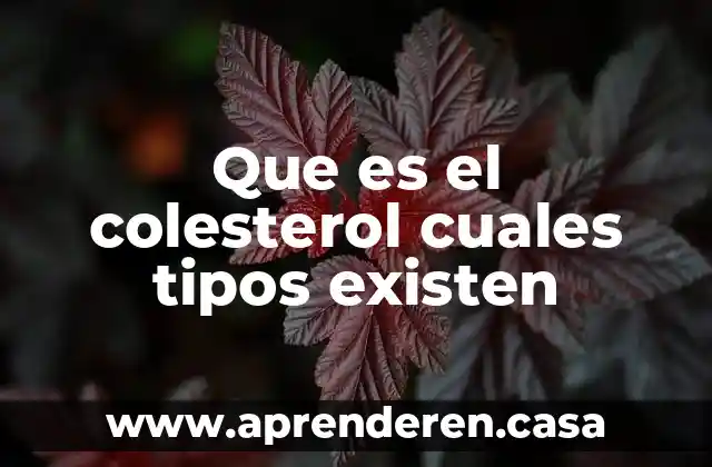 Que es el colesterol cuales tipos existen