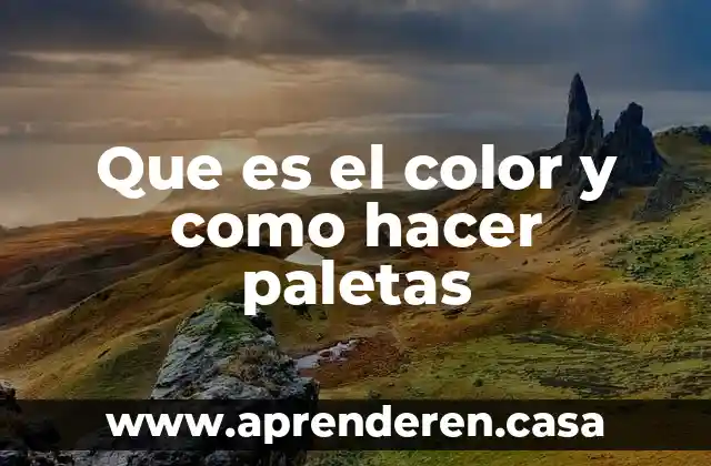 Que es el color y como hacer paletas