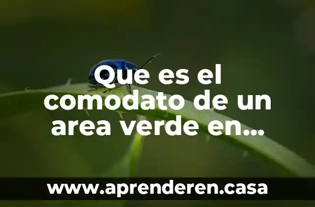 Que es de área amplia o wan 5 Que es el comodato de un area verde en celaya