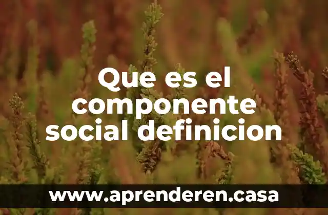 Que es el componente social definicion