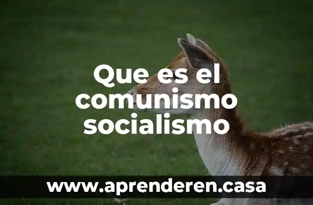 Que es el socialismo de la segunda guerra mundial 3 Que es el comunismo socialismo