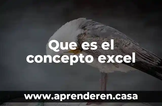 Que es el concepto excel