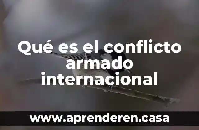 La red internacional del narcotráfico que es 8 Qué es el conflicto armado internacional