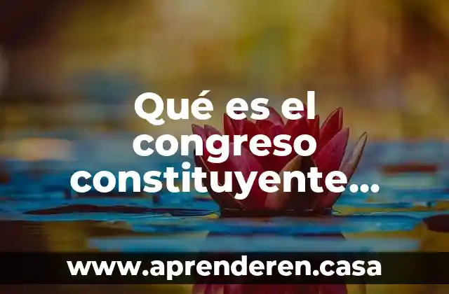 Que es prueba constituyente en el proceso civil 5 Qué es el congreso constituyente francisco zarco unam