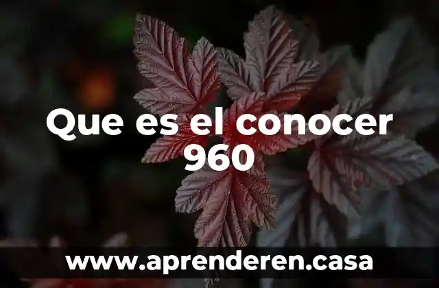 Que es el conocer 960