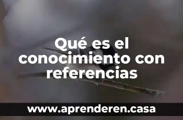 Qué es el conocimiento con referencias