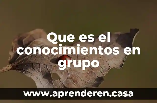 Que es el conocimientos en grupo