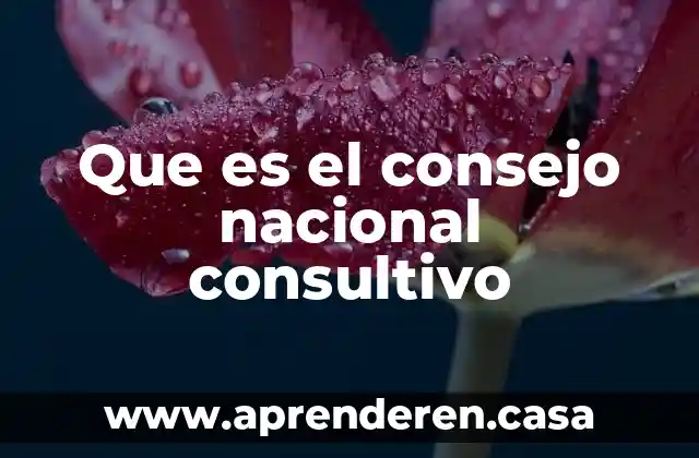 Que es el consejo nacional consultivo