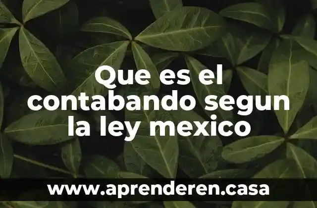 Por qué es tan complicado el desalojo en México 3 Que es el contabando segun la ley mexico