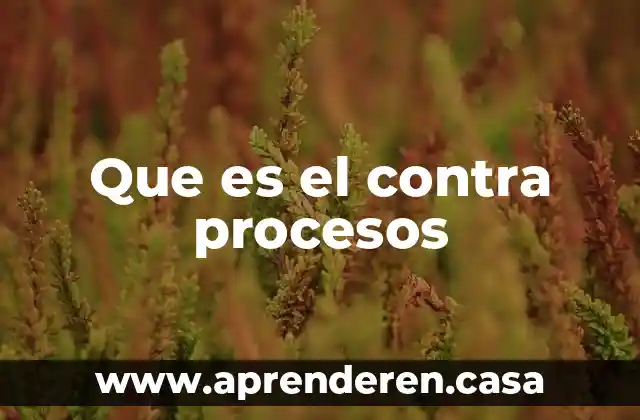 Que es el contra procesos