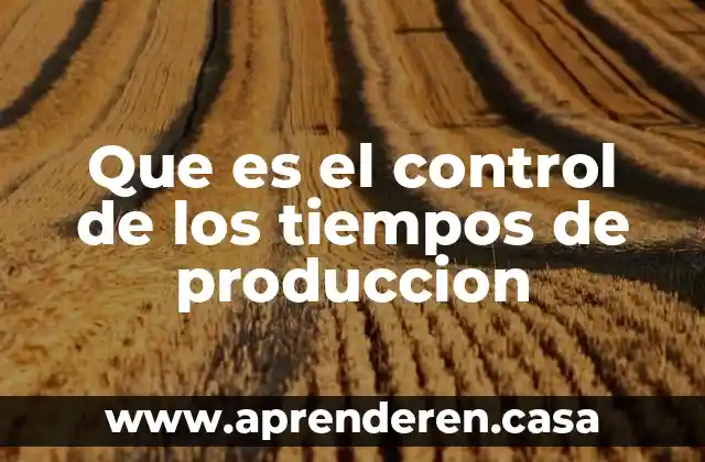 Que es el control de los tiempos de produccion
