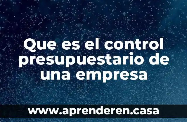 Que es el control presupuestario de una empresa