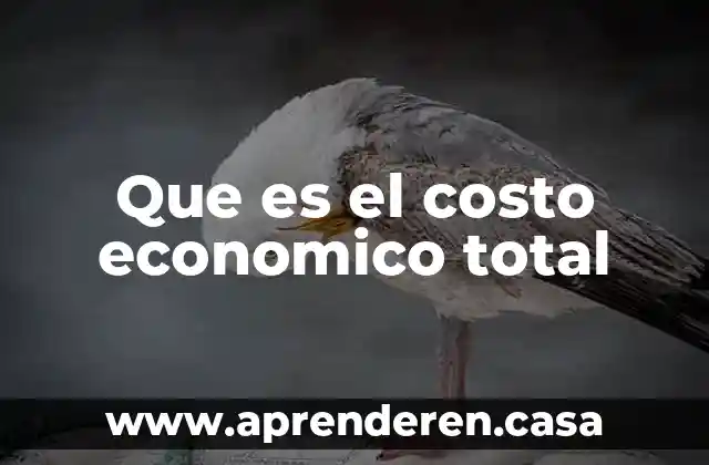 Que es el costo economico total