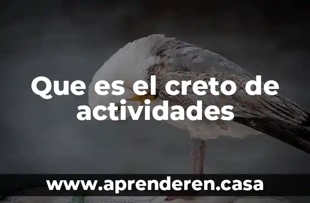 Que es el creto de actividades