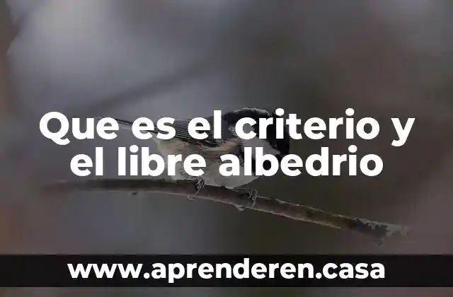 Que es el criterio y el libre albedrio