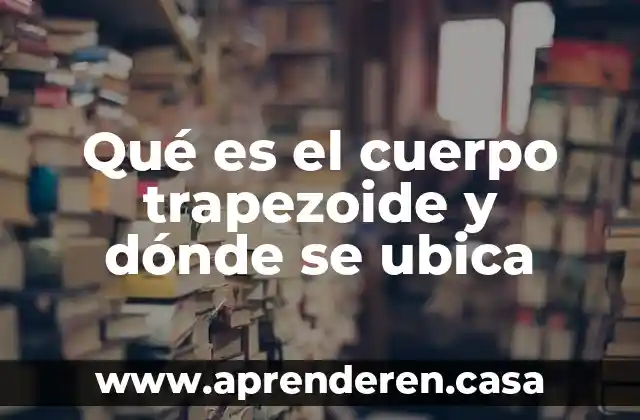 Qué es corte transversal en el cuerpo humano 7 Qué es el cuerpo trapezoide y dónde se ubica