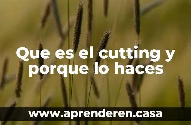 Porque consideras que es importante esa empresa 6 Que es el cutting y porque lo haces