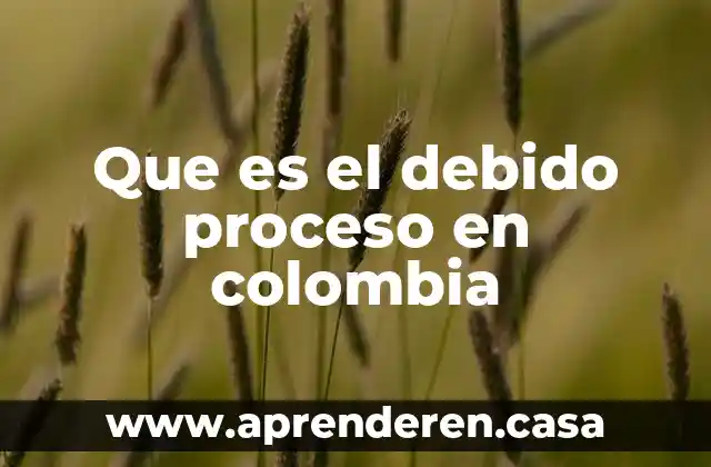 Que es el proceso racional de la toma de decisiones 3 Que es el debido proceso en colombia