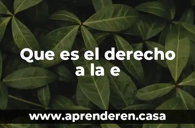 Qué es hecho punible en derecho 4 Que es el derecho a la e